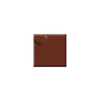 Colorbar Vegan Nail Lacquer-Choco Drip-146 8 ml - Nail Polish