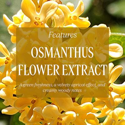 L'Occitane Osmanthus Shower Gel 250 ml - Shower Gels & Body Wash