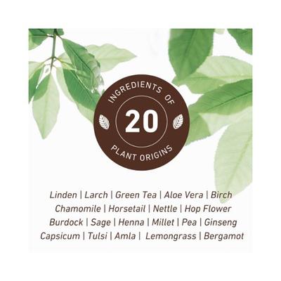 Anthi- Anti-Thinning Hair Serum 40 ml - Hair Serums