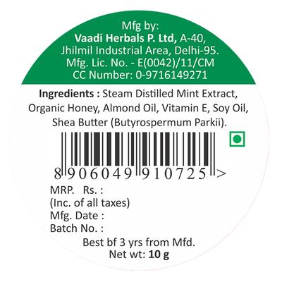 Lip Balm - Mint 10 gm - Lip Balms