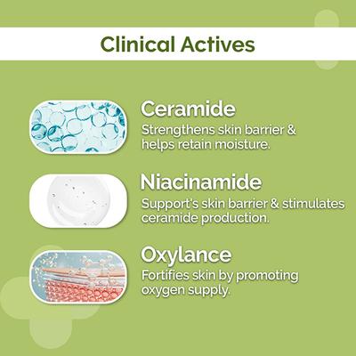 The Derma Co. 4% Ceramide Barrier Repair Moisturizer 50 gm - Face Moisturizers