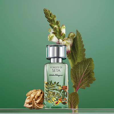 Ferragamo Foreste Di Seta Eau De Parfum 100 ml - Perfumes (Edt/Edp)