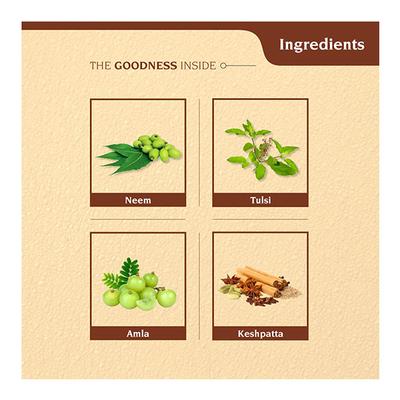 Aryanveda Herbal Shampoo - Neem, Tulsi & Mandookparni 250 ml - Shampoos