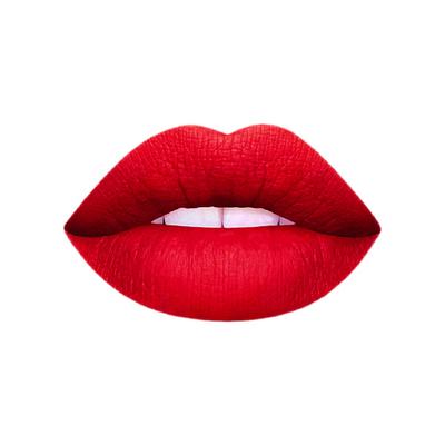 Matt Look Stay Matte Lipstick, Red-Carpet 3.5 gm - Lipsticks