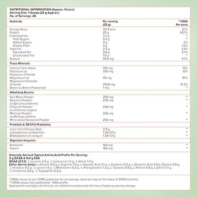Wellbeing Nutrition Organic Vegan Plant Protein Isolate - French Vanilla Caramel 907 gm - Protein Drink
