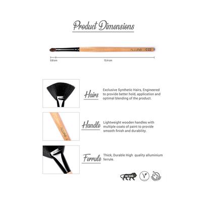Allure Lip Filler Brush (c-22)( 1's - Eye Brush