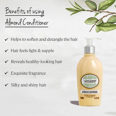 L'Occitane Almond Conditioner 240 ml - Conditioners