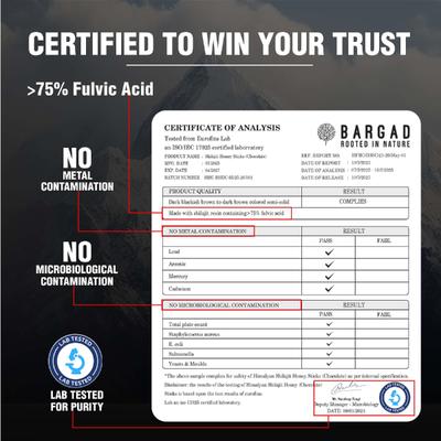 Bargad Himalayan Shilajit Honey Sticks - Cinnamon Flavour 30's - Speciality Medicines