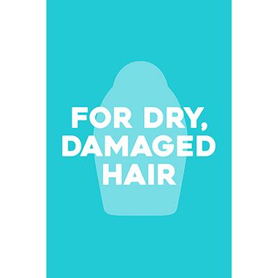 OGX Extra Strength Hydrate & Revive Argan Oil Of Morocco Shampoo 385 ml - Shampoos