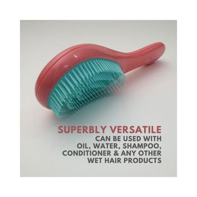 Alan Truman Dt02 Detangling Brush Pink Blue 1's - Hair Brushes