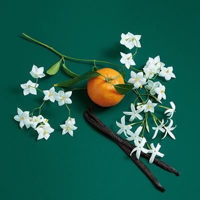 United Colors of Benetton Sisterland Green Jasmine Eau De Toilette 80 ml - Women Perfumes (Edt/Edp)