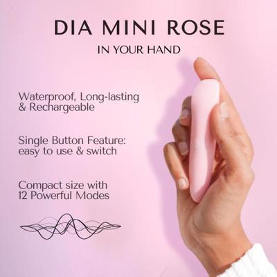 Libertee Dia Rose Mini Bullet Rechargeable Massager 12 Modes & Intensities 1's - Massagers And Vibrators