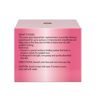 Olay Moisturiser All Day Moisturising Cream 50 gm - Face Moisturizers