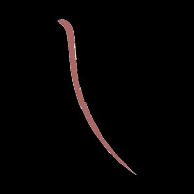 Essence Soft Contouring Lipliner-03 1.4 gm - Lip Liners