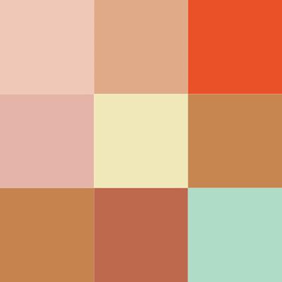 Matt Look Cover Skin Concealer Palette Full Coverage Color Correcting formula for Face Makeup - 01 18 gm - Concealer