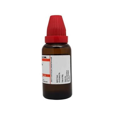 Dr. Reckeweg Hydrangea Ø Liquid 20 ml - Mother Tincture