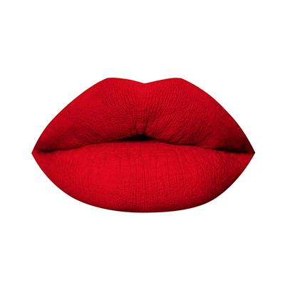 PAC Timeless Matte 12H Longlasting Rich Pigment One Swipe Payoff Smudgeproof - Love Bite (6.5 ml) - Liquid Lipsticks
