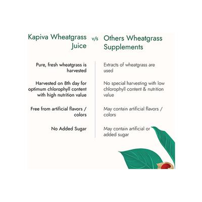 Kapiva Ayurveda Wheat Grass Juice 1000 ml (N) - Multi-Vitamins