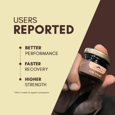 Rasayanam Pure Shilajit Resin 20 g - General Health