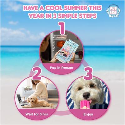 Pup Ice Rocket Lollies Blueberry & Strawberry 90 g - Petfood