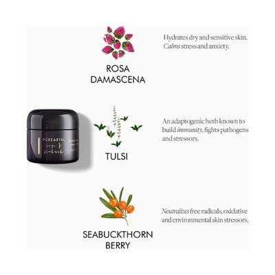 Purearth Rose and Seabuck Replenishing Face Cream 50 gm - Face Moisturizers