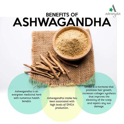 Aaranyaa Protein Shampoo 250 ml - Shampoos