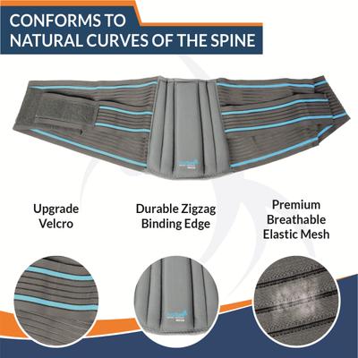 AccuSure Lumbo Support Belt (L) 1's - Knee/Leg Supports