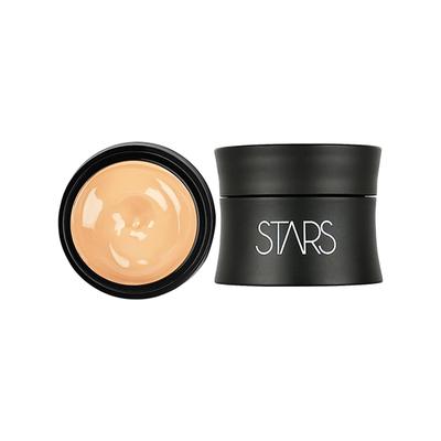 Star's Cosmetics Natural Flawless Finish, High Coverage Waterproof Face Make Up Foundation (803) 9.5 gm - Foundation