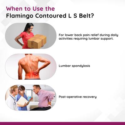 Flamingo Contoured L.S. Belt Black (OC2006) (XXL) 1's - Back/Abdomen Supports