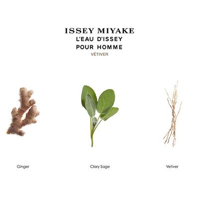 Issey Miyake L'Eau D'Issey Pour Homme Vetiver Edt Intense 100 ml - Men Perfumes (Edt/Edp)