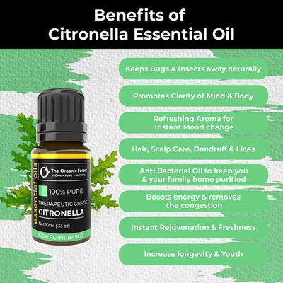 Organic Forest 100% VEGAN Citronella Essential Oil 10 ml - Essential Oils