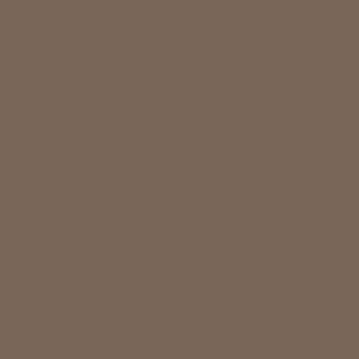 Neyah The Nail Story Nail Paint Mocha 11 ml - Nail Polish