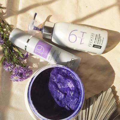 Biotop Professional 19 Pro silver mask 250 ml - Hair Masks & Packs