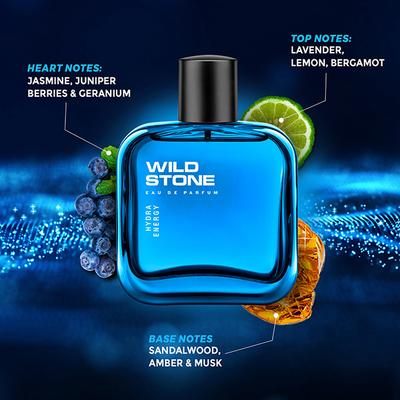 Wild Stone Hydra Energy Perfume Spray 100 ml - Men Perfumes (Edt/Edp)