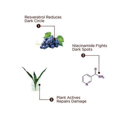 The Skin Story Under Eye Intensive Gel 25 gm - Eye Gels & Roll-On