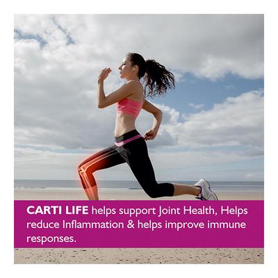 Onelife Carti Life (Joint & Cartilage Support) Tablet 60's - Calcium And Minerals