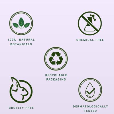 Biotique Walnut Volume & Bounce Shampoo & Conditioner 120ml - Shampoos