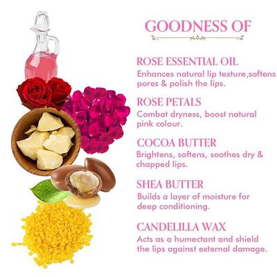 TAC The Ayurveda Co. Rose Lip Butter 5 gm - Personal Care (Ayush)