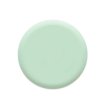 Colorbar Quiet Green - (1113) 12 ml - Nail Polish