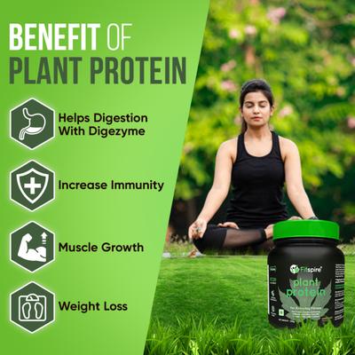 Fitspire 100 Percent Plant Protein Made With Pea Protein Chocolate 500 gm - Protein Drink
