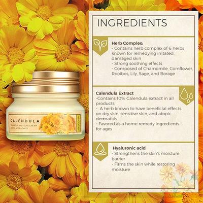 The Face Shop Calendula Essential Moisture Cream 50 Ml - Face Moisturizers