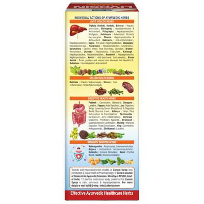 Allen Livosin No Added Sugar Syrup 250 ml - Personal Care (Ayush)