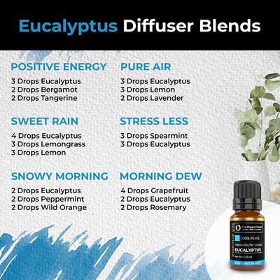 Organic Forest 100% VEGAN Eucalyptus Essential Oil 10 ml - Essential Oils