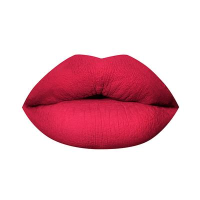 PAC Timeless Matte 12H Longlasting Rich Pigment One Swipe Payoff Smudgeproof - Velvet Crush (6.5 ml) - Liquid Lipsticks