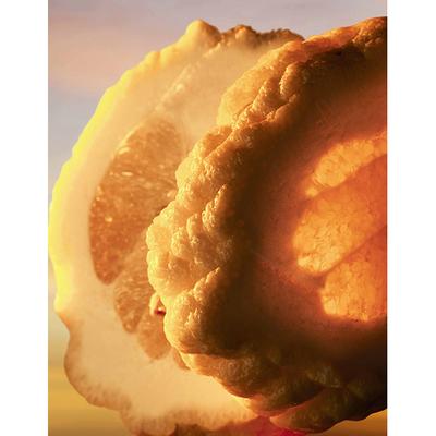 Lalique Satine Eau de Parfum 50 ml - Perfumes (Edt/Edp)