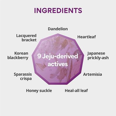 Innisfree Perfect 9 Intensive Anti Aging Serum 50 ml - Face Gels