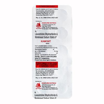 KAMONT Tablet 10's - Allergies-Ant