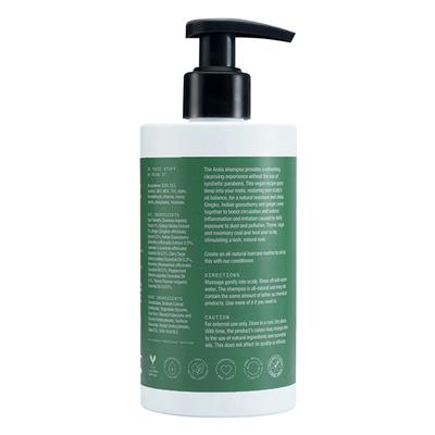 Arata Natural Hydrating Hair Shampoo With Ginkgo, Ginger & Indian Gooseberry for Damaged Hair 300 ml - Shampoos