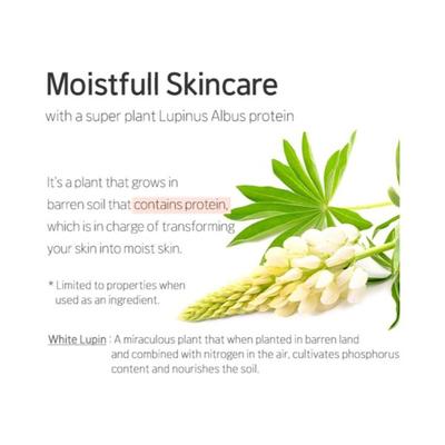 ETUDE MOISTFULL COLLAGEN CREAM 75 ml - Face Moisturizers