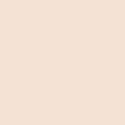 Renee Cosmetics Everyday Compact 01 8 gm - Compact Powder